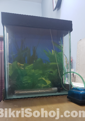 Aquarium